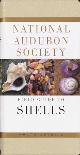 The Encyclopedia of Shells: Wye, Kenneth R.: 9780785812333: Amazon
